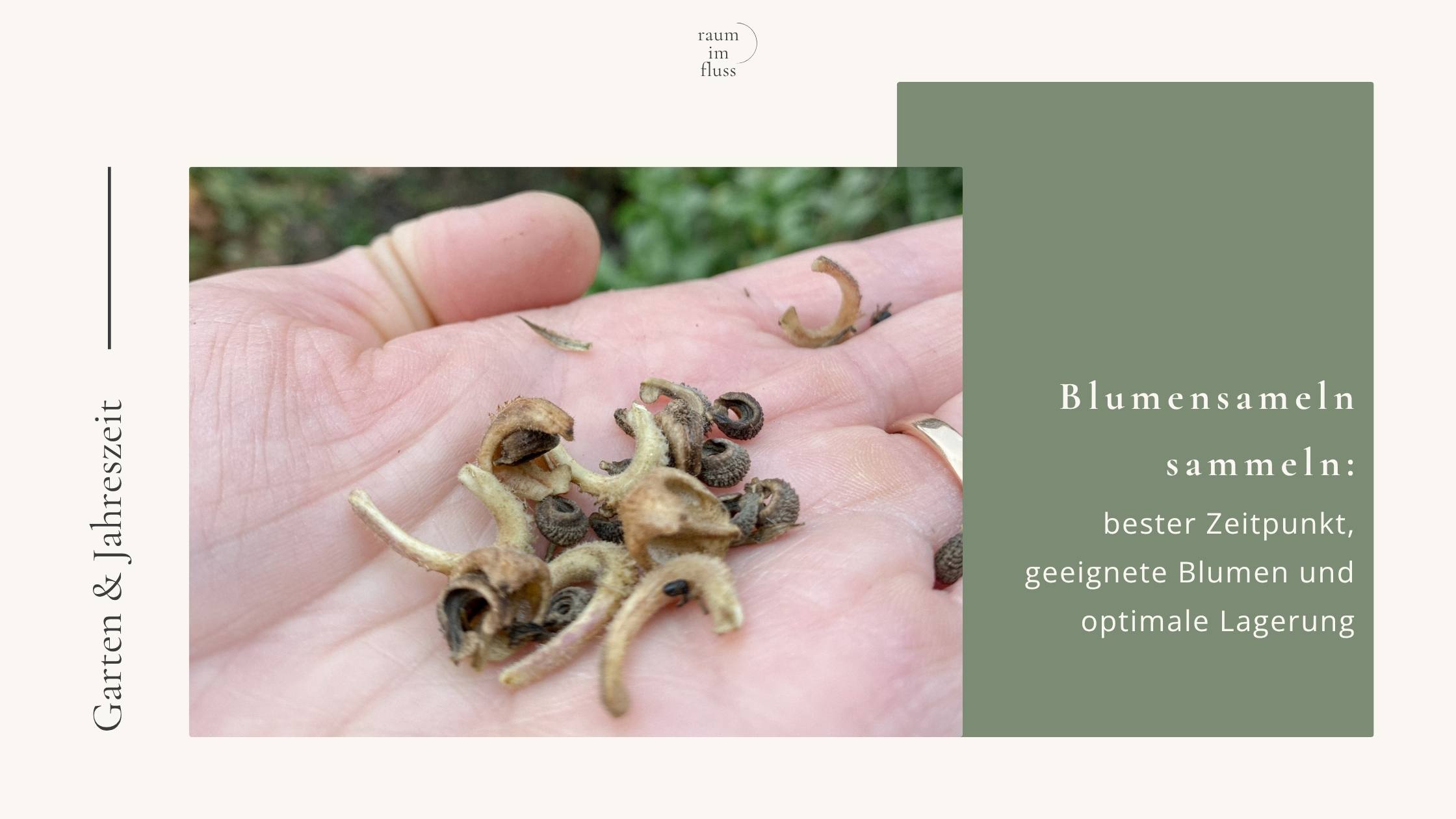 Blumensamen sammeln