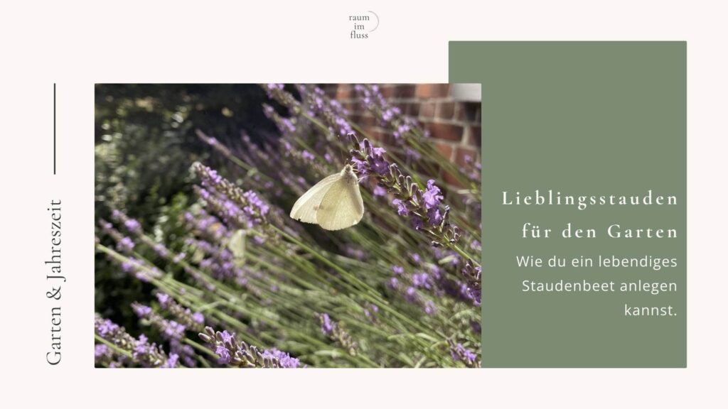 Lieblingsstauden für den Garten finden