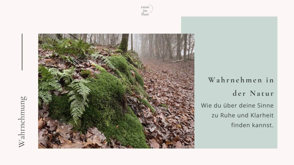 Wahrnehmen in der Natur