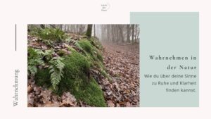 Wahrnehmen in der Natur: Wie du über deine Sinne zu mehr Ruhe und Klarheit finden kannst