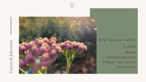 Ein Garten voller Leben: Warum insektenfreundliche Pflanzen mehr sind als „nice to have“