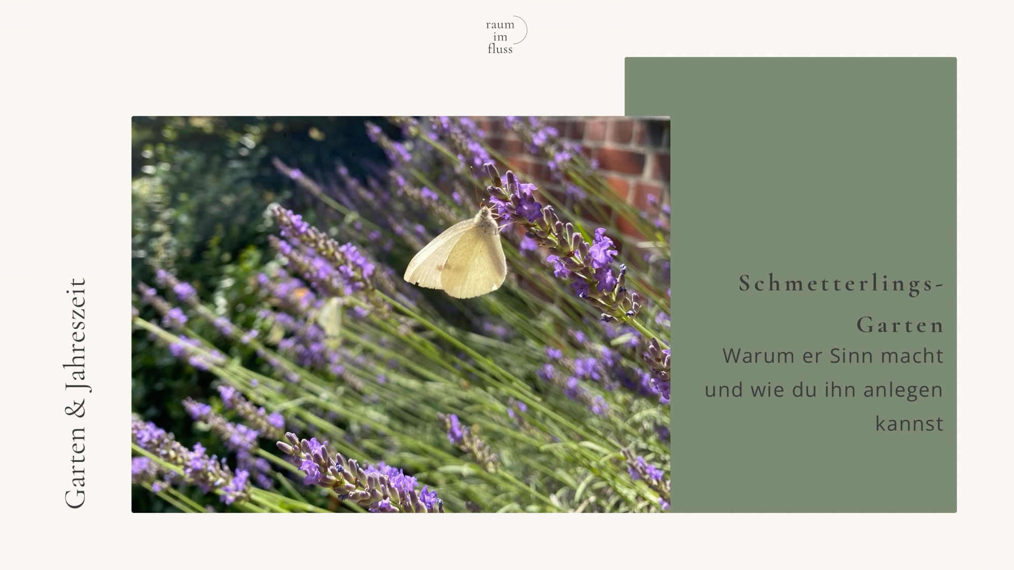 Schmetterlingsgarten – warum er Sinn macht und wie du ihn anlegst