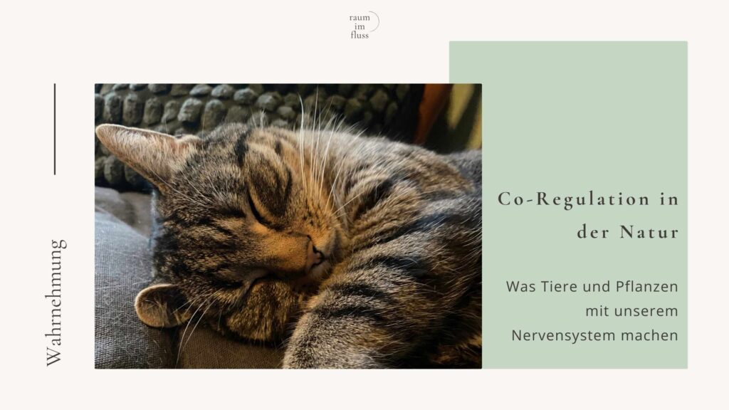 Co-Regulation in der Natur