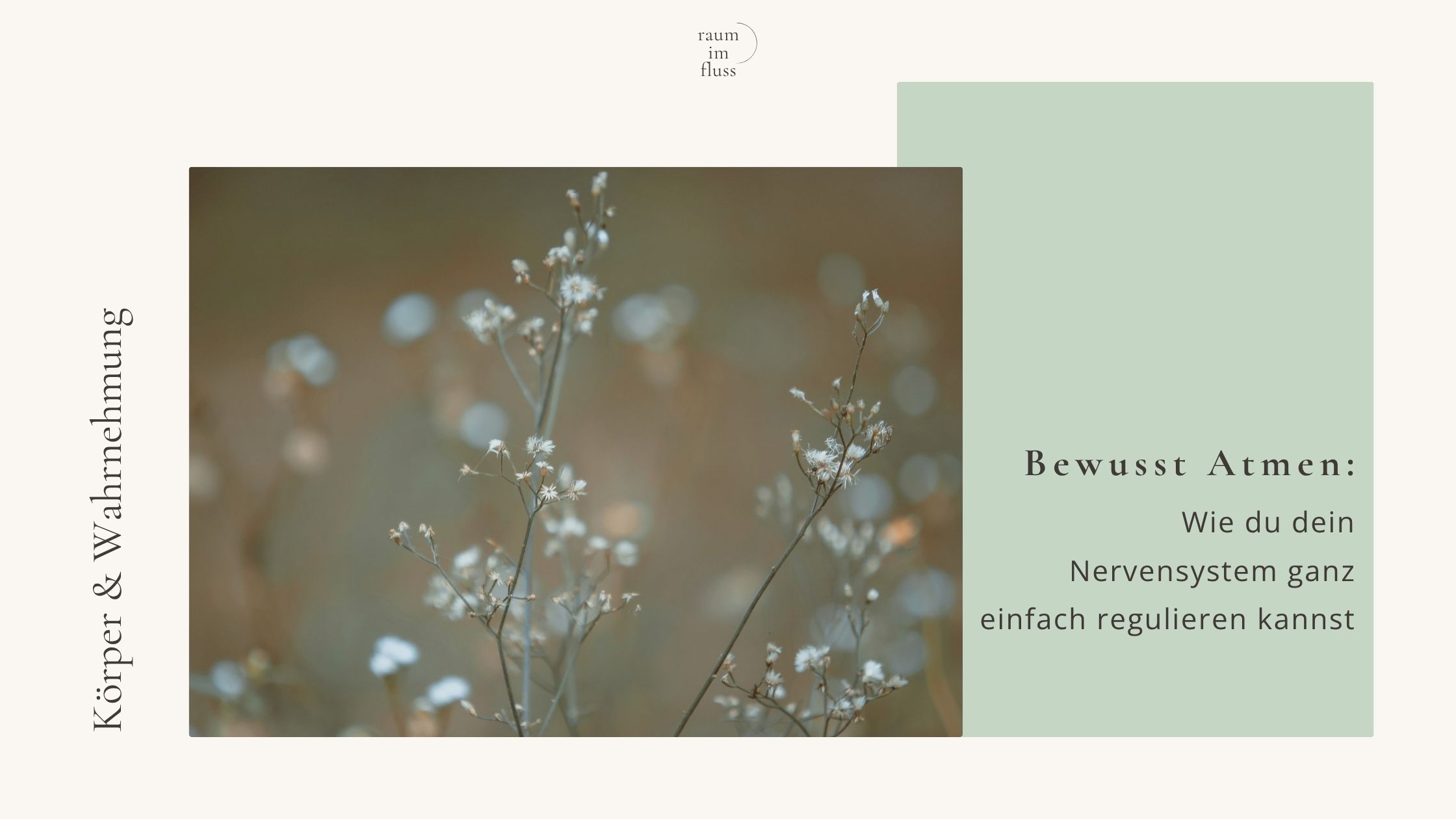 Bewusst Atmen Nervensystem regulieren