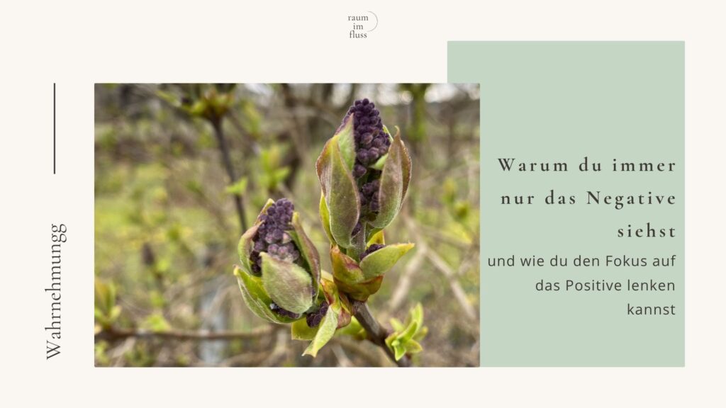 Immer nur negativ sehen