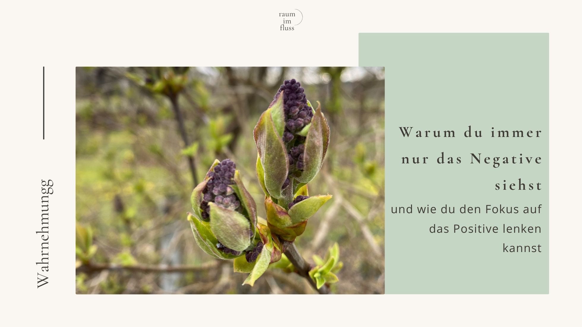 Immer nur negativ sehen