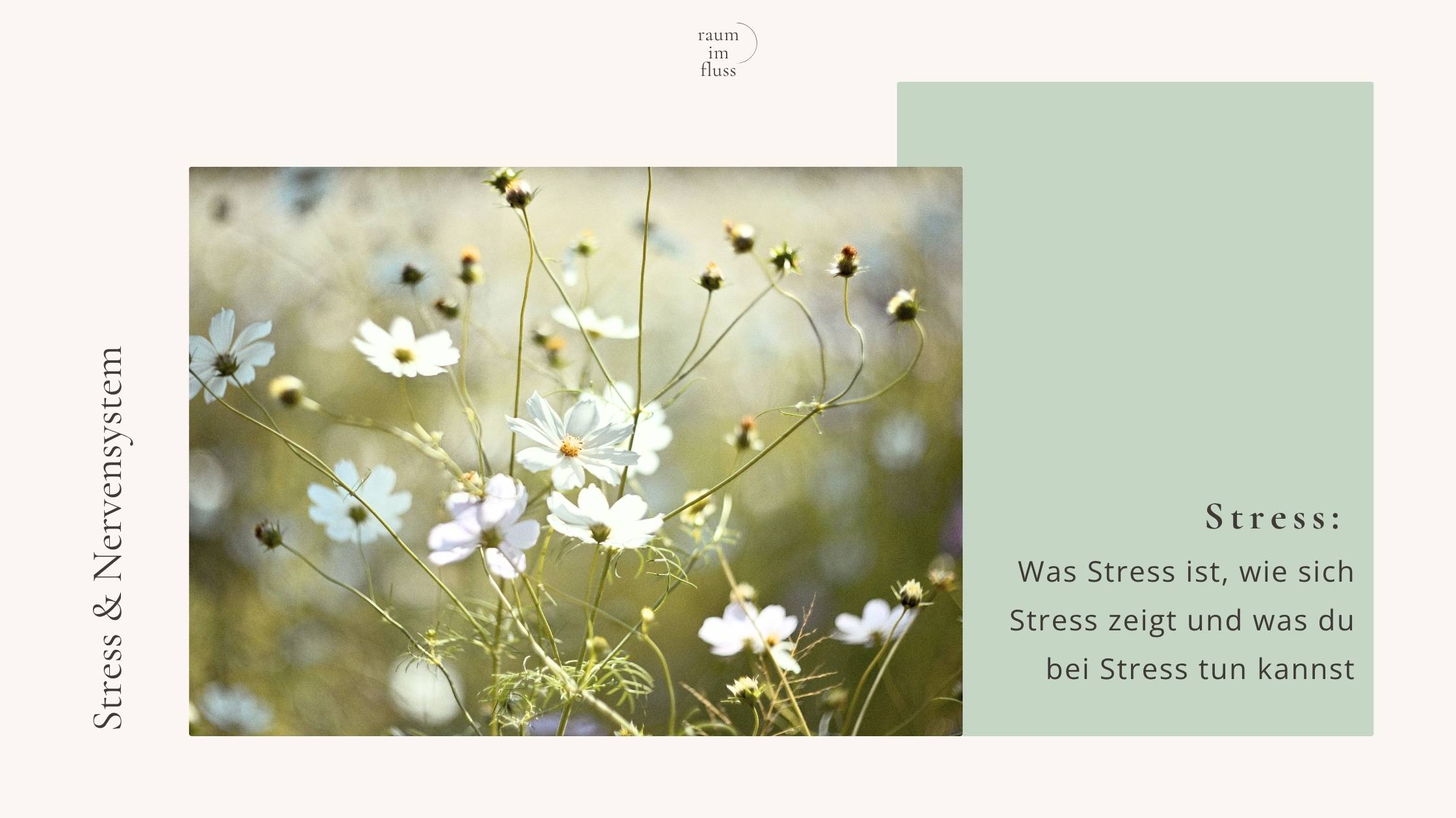 Stress: Was Stress ist, wie du Stress erkennen und was du bei Stress tun kannst
