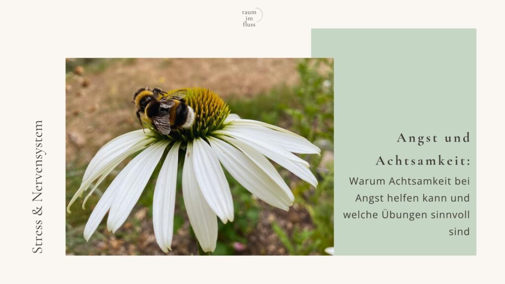Angst und Achtsamkeit